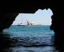 La cueva del lobo marino