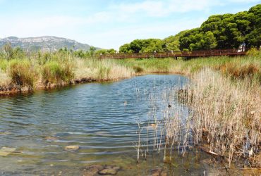 Desembocadura del Rio Llastres